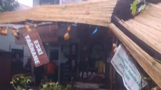 2000 yıllık anıt çınar ağacı şiddetli rüzgara dayanamadı
