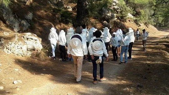 Öğrenciler, 'Arı Aşkına' Projesiyle Bilinçleniyor