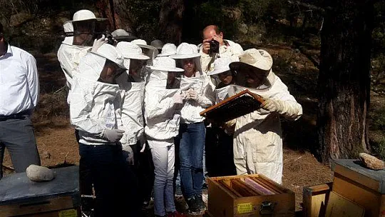 Öğrenciler, 'Arı Aşkına' Projesiyle Bilinçleniyor
