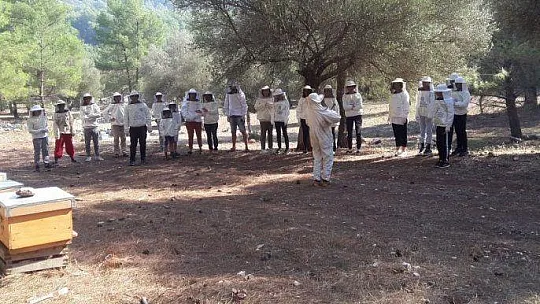 Öğrenciler, 'Arı Aşkına' Projesiyle Bilinçleniyor