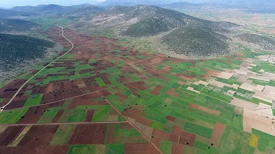 2020 Yılında Muğla'da 4 Bin 415 Hektar arazi toplulaştırıldı