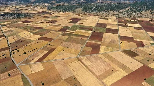 2020 Yılında Muğla'da 4 Bin 415 Hektar arazi toplulaştırıldı