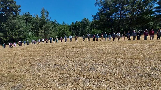 İkizköy Akbelen Ormanı  hem Muğla'nın hem de Türkiye'nin sorunudur!
