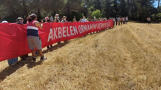 İkizköy Akbelen Ormanı  hem Muğla'nın hem de Türkiye'nin sorunudur!
