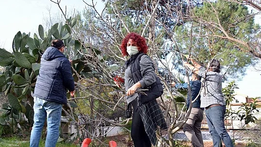 Bölgemizde Fethiye Kaya İnciri üretimi arttırılıyor