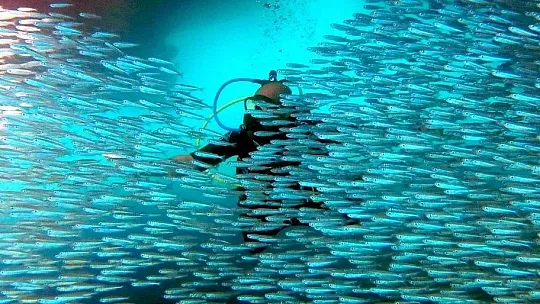 FTSO'nun 'Fethiye'de Spor, Turizmde Rekor' Projesine GEKA'dan Yüzde 100 Hibe Desteği