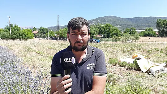 Ali Toru, Yayla Kınık'ta Lavanta Bahçesinde Tıbbi ve Aromatik Ürünler Üretiyor