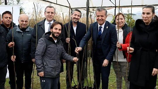 2500 FETHİYE KAYA İNCİRİ FİDANI ÜRETİCİLERE DAĞITILDI