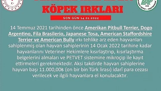 Tehlikeli Köpek Yetiştirenlere 11 bin TL Ceza