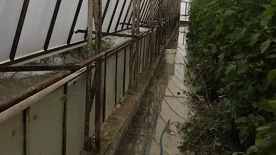 Muhtardan yetkililere 'Yazıklar olsun'