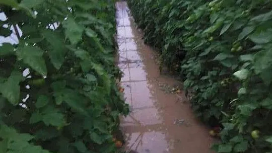 Muhtardan yetkililere 'Yazıklar olsun'