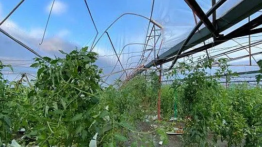 Muhtardan yetkililere 'Yazıklar olsun'