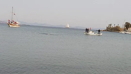 29 kilometrelik mesafeyi 12 saatte yüzdü