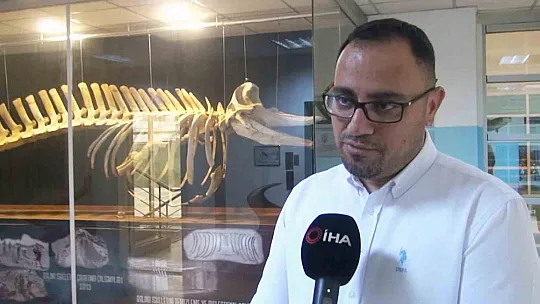 29 yıl sonra iç sularda tekrar görüldü