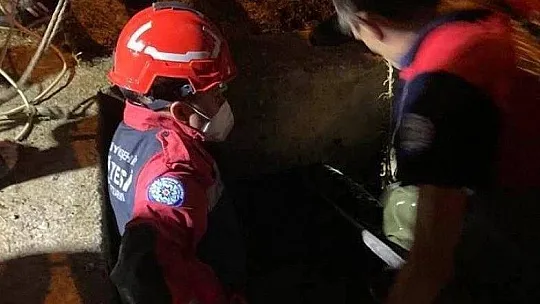 Sulama kanalına düşen yavru köpek kurtarıldı 