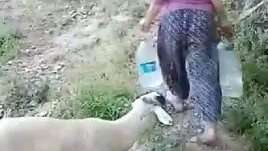 47 yıllık çile!
