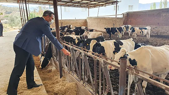 CHP'li Erbay: 'Tarım Bakan'ı çiftçiyi anladı ama yanlış anladı'