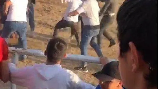 Boğa Güreşinde tekme ve yumruklar havada uçuştu