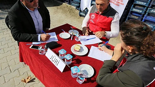 SEYDİKEMER'DE BAĞBOZUMU ŞENLİĞİ