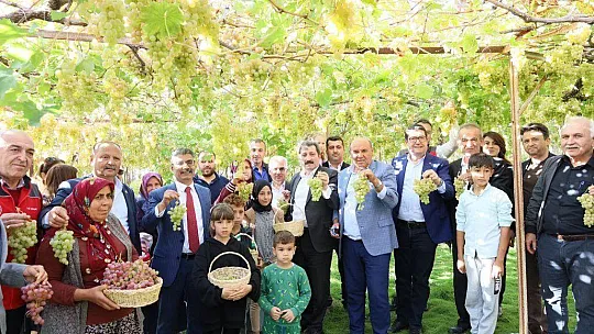 SEYDİKEMER'DE BAĞBOZUMU ŞENLİĞİ