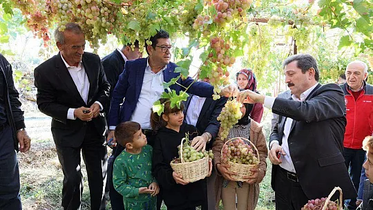 SEYDİKEMER'DE BAĞBOZUMU ŞENLİĞİ