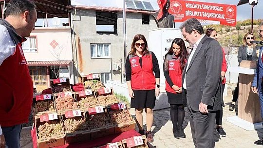 SEYDİKEMER'DE BAĞBOZUMU ŞENLİĞİ