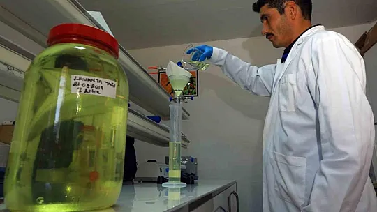 32 tür tıbbi-aromatik bitkinin distilasyonu yapıldı