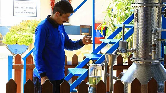 32 tür tıbbi-aromatik bitkinin distilasyonu yapıldı