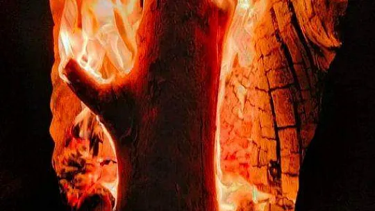 SERALARDA 'DON' NÖBETİ BAŞLADI