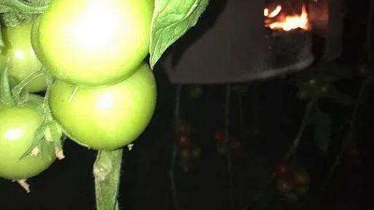 SERALARDA 'DON' NÖBETİ BAŞLADI