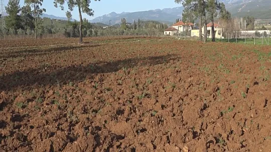 Çobanlar Koza Birliği Yolda