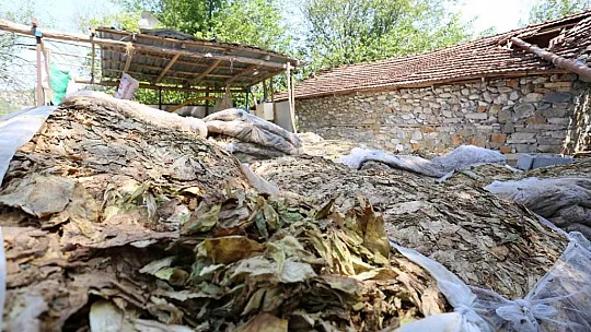 Tarımsal Hasar Tespitleri Yapıldı