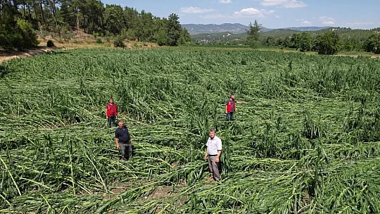Tarımsal Hasar Tespitleri Yapıldı
