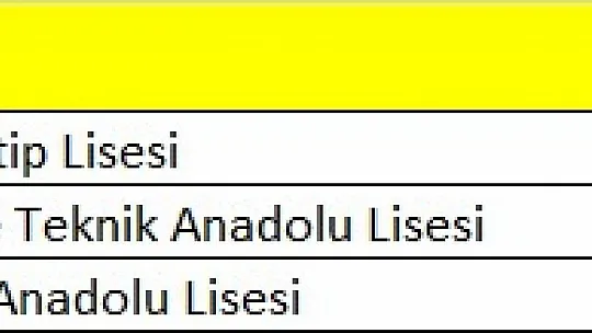 Lise öğrencileri yarıştı