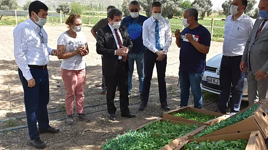 Vali Tavlı, Milas'ta tarım üreticilerini ziyaret etti