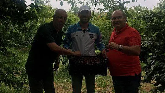 Hayırseverin kirazını toplayıp ihtiyaç sahiplerine dağıttılar 