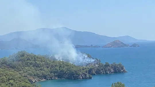Katrancı Koyu'nda Orman Yangını