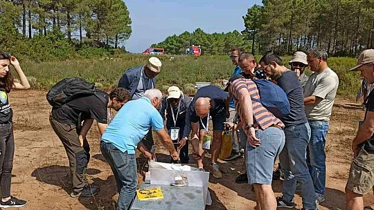 400 YABANCI KONUĞA YERLİ ARI IRK VE EKOTİPLER TANITILDI