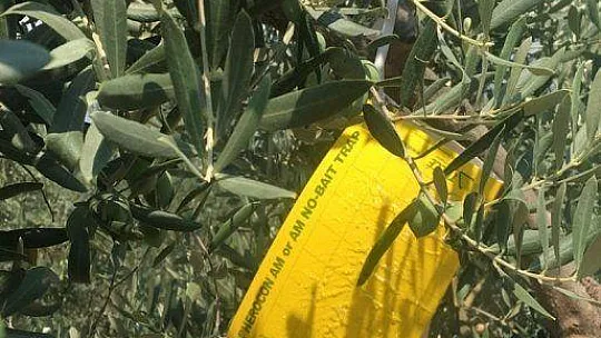 Uzmanlar Uyarıyor 'Kıtlığa, göçlere ve savaş gibi felaketlere yol açabilir'