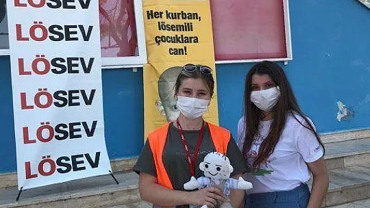 LÖSEV Kampanya Çalışmalarına Başladı 