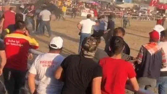 Boğa Güreşinde tekme ve yumruklar havada uçuştu