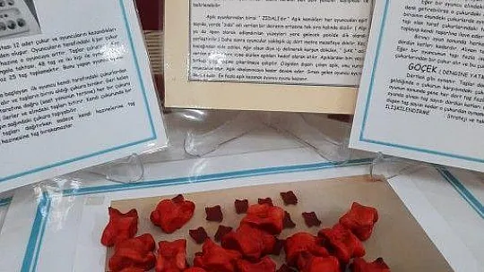 Oyuncaklarını Sergiledi