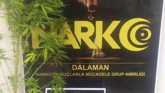 53 ayrı çalışmada 14 tutuklama kararı çıktı