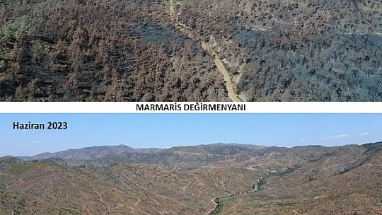 Yanan Alanlar Küllerinden Doğuyor