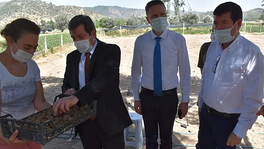 Vali Tavlı, Milas'ta tarım üreticilerini ziyaret etti