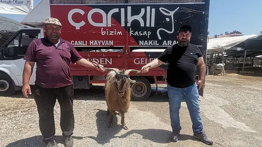 Hayvan pazarında kurbanlık satışları devam ediyor