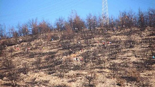 600 sporcu Bodrum'da ter döktü