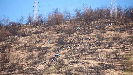 600 sporcu Bodrum'da ter döktü