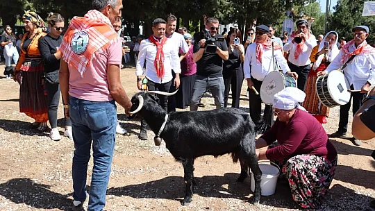 Şenlik Konser ve Etkinliklerle Devam Ediyor