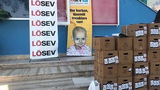 LÖSEV Kampanya Çalışmalarına Başladı 